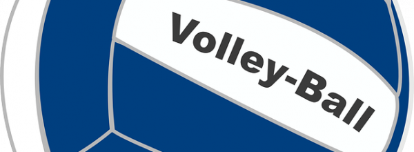 Wieder große Erfolge im Volleyball