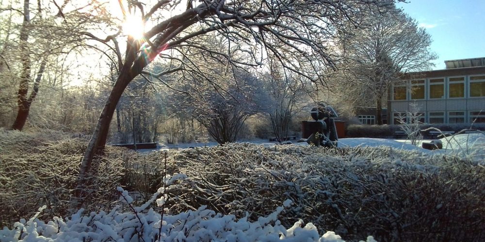 Winter am JBG