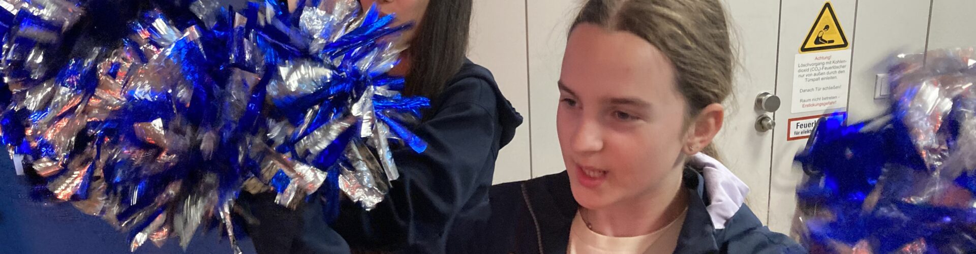 Sommerfest am Johannes-Brahms-Gymnasium
