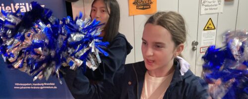 Sommerfest am Johannes-Brahms-Gymnasium
